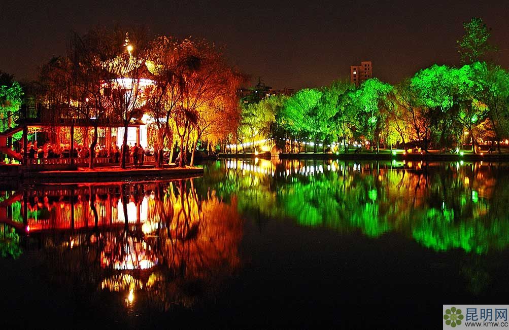 1445323435441679.jpg 翠湖夜景.jpg