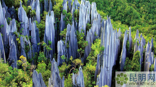 Cii-T1gpW3GIAkLbABp8Pqu_Zt0AAEZVwN8bDEAGnxW423_w500_h280_c1_t0 Cii-T1gpW3GIAkLbABp8Pqu_Zt0AAEZVwN8bDEAGnxW423_w500_h280_c1_t0