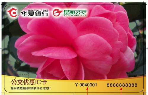 1427248704674480.jpg 1427248704674480.jpg