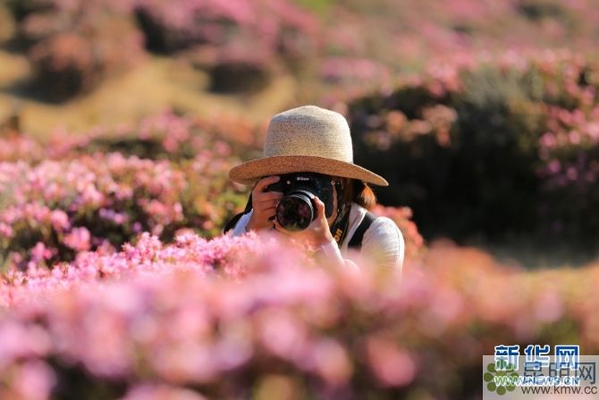 138042772_15572934718011n 138042772_15572934718011n