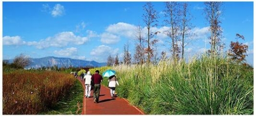 QQ截圖20200119164008 QQ截圖20200119164008