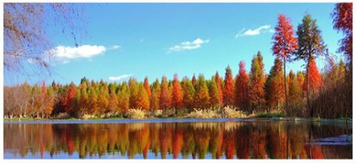 QQ截圖20200119164017 QQ截圖20200119164017