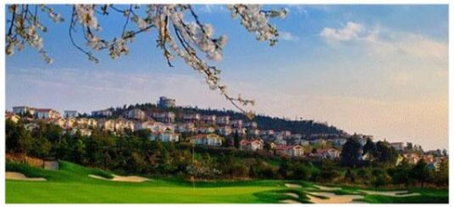 QQ截圖20200119171342 QQ截圖20200119171342