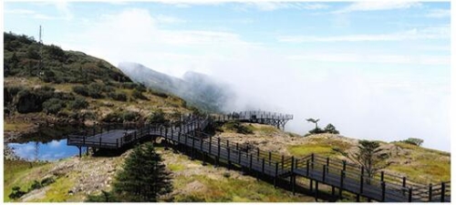 QQ截圖20200119171352 QQ截圖20200119171352