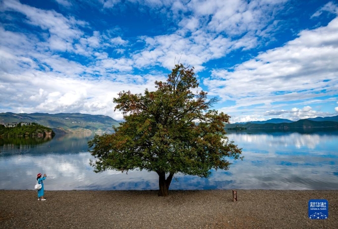 1310209046_16325627018301n 1310209046_16325627018301n