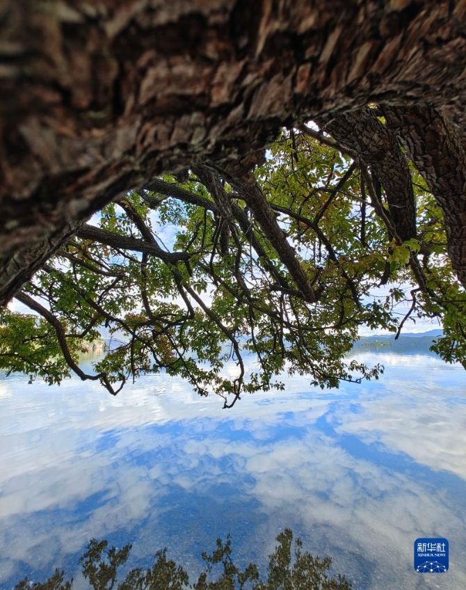 1310209046_16325627016421n 1310209046_16325627016421n