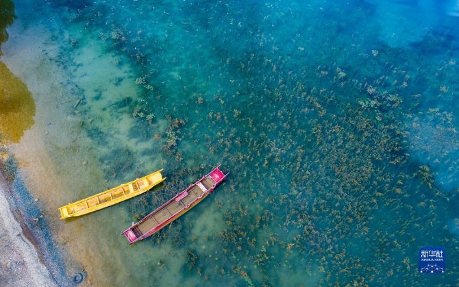 1310209046_16325627018601n 1310209046_16325627018601n